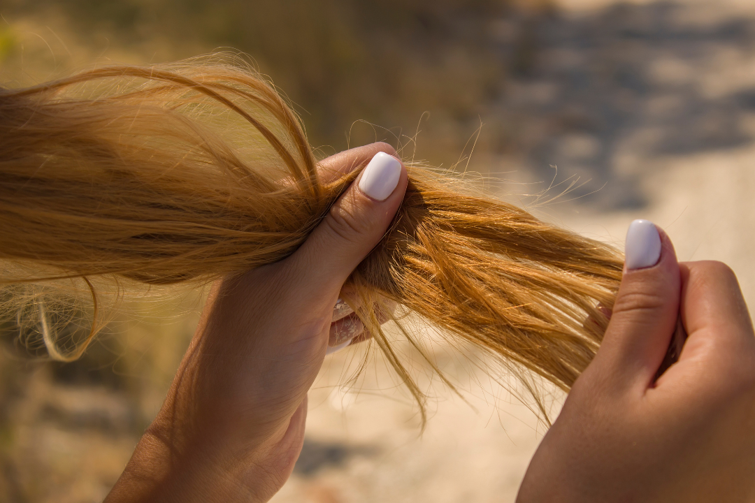 Symbolbild trockene Haare